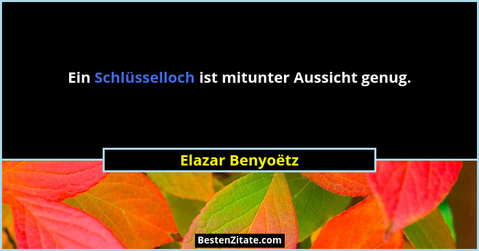 Ein Schlüsselloch ist mitunter Aussicht genug.... - Elazar Benyoëtz