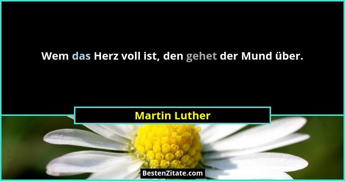 Wem das Herz voll ist, den gehet der Mund über.... - Martin Luther