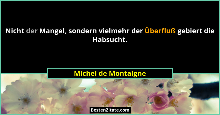 Nicht der Mangel, sondern vielmehr der Überfluß gebiert die Habsucht.... - Michel de Montaigne