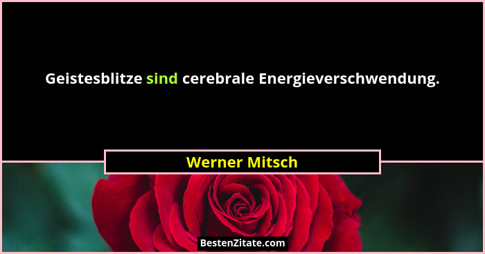 Geistesblitze sind cerebrale Energieverschwendung.... - Werner Mitsch