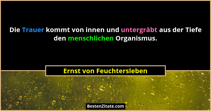 Die Trauer kommt von innen und untergräbt aus der Tiefe den menschlichen Organismus.... - Ernst von Feuchtersleben