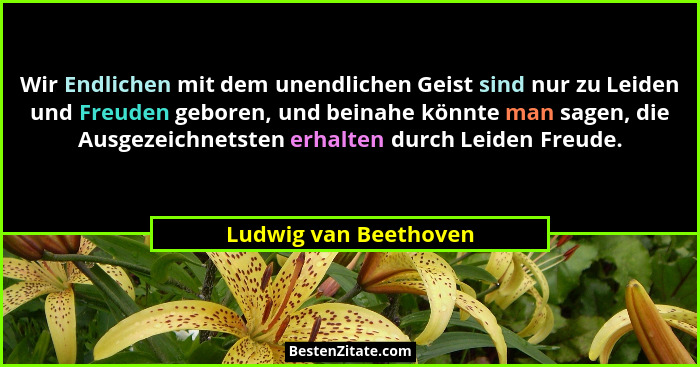 Wir Endlichen mit dem unendlichen Geist sind nur zu Leiden und Freuden geboren, und beinahe könnte man sagen, die Ausgezeichnet... - Ludwig van Beethoven