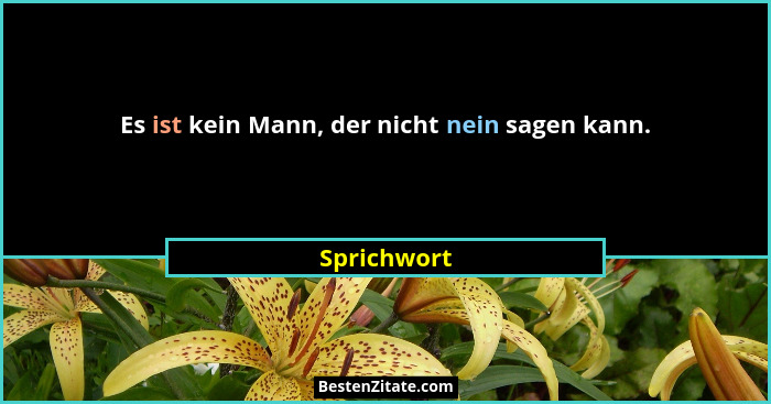 Es ist kein Mann, der nicht nein sagen kann.... - Sprichwort