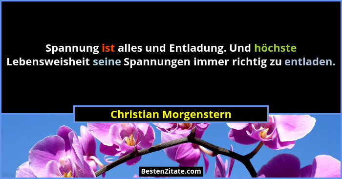 Spannung ist alles und Entladung. Und höchste Lebensweisheit seine Spannungen immer richtig zu entladen.... - Christian Morgenstern