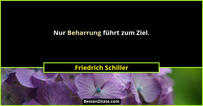 Nur Beharrung führt zum Ziel.... - Friedrich Schiller