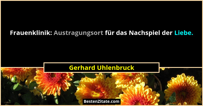 Frauenklinik: Austragungsort für das Nachspiel der Liebe.... - Gerhard Uhlenbruck
