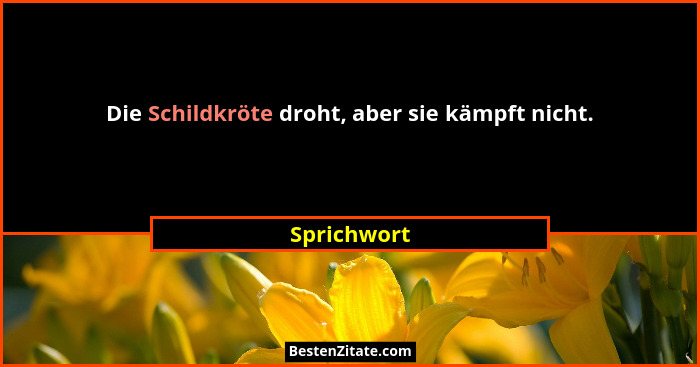 Die Schildkröte droht, aber sie kämpft nicht.... - Sprichwort