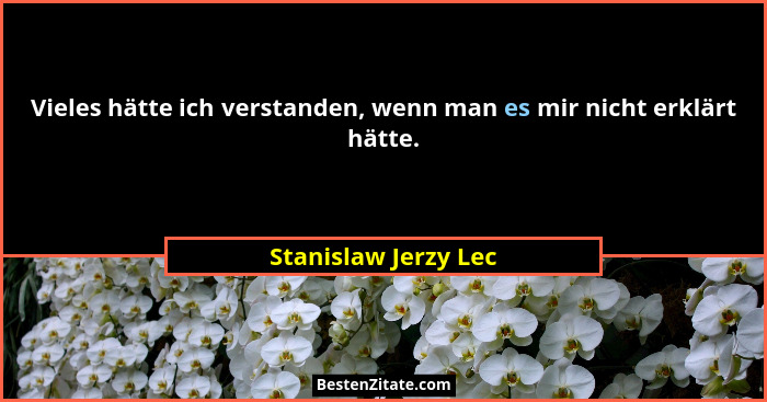 Vieles hätte ich verstanden, wenn man es mir nicht erklärt hätte.... - Stanislaw Jerzy Lec
