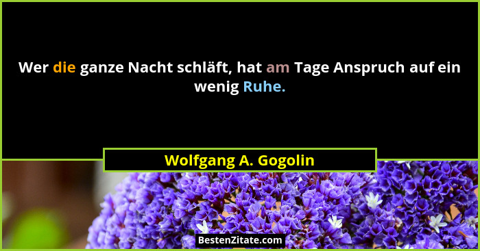 Wer die ganze Nacht schläft, hat am Tage Anspruch auf ein wenig Ruhe.... - Wolfgang A. Gogolin