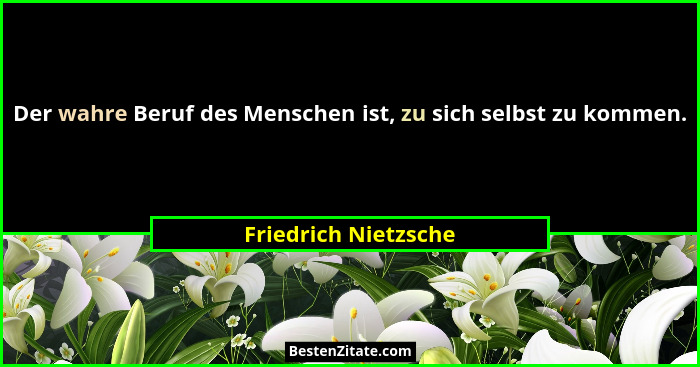 Der wahre Beruf des Menschen ist, zu sich selbst zu kommen.... - Friedrich Nietzsche