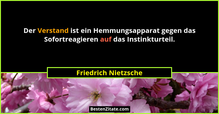 Der Verstand ist ein Hemmungsapparat gegen das Sofortreagieren auf das Instinkturteil.... - Friedrich Nietzsche