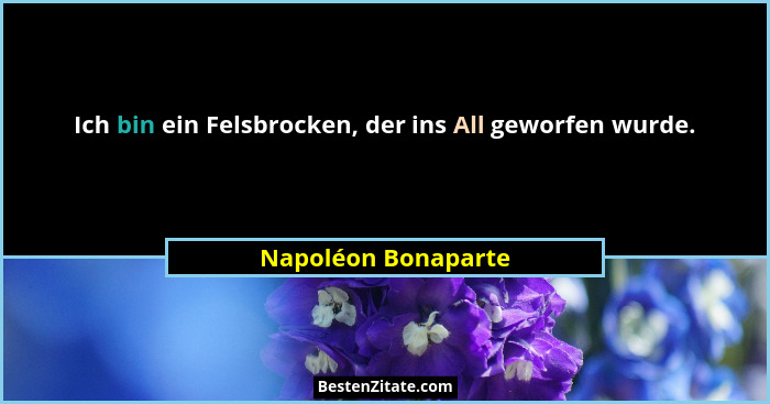 Ich bin ein Felsbrocken, der ins All geworfen wurde.... - Napoléon Bonaparte