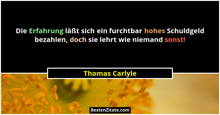 Die Erfahrung läßt sich ein furchtbar hohes Schuldgeld bezahlen, doch sie lehrt wie niemand sonst!... - Thomas Carlyle
