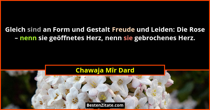 Gleich sind an Form und Gestalt Freude und Leiden: Die Rose – nenn sie geöffnetes Herz, nenn sie gebrochenes Herz.... - Chawaja Mîr Dard