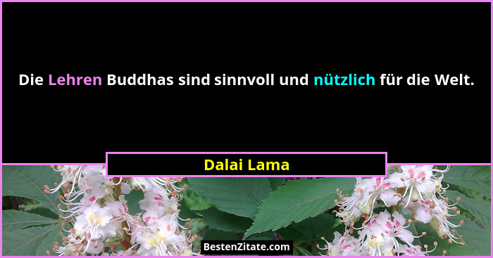 Die Lehren Buddhas sind sinnvoll und nützlich für die Welt.... - Dalai Lama