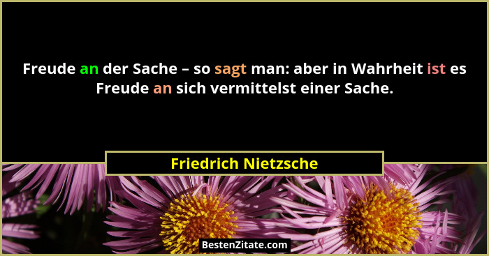Freude an der Sache – so sagt man: aber in Wahrheit ist es Freude an sich vermittelst einer Sache.... - Friedrich Nietzsche