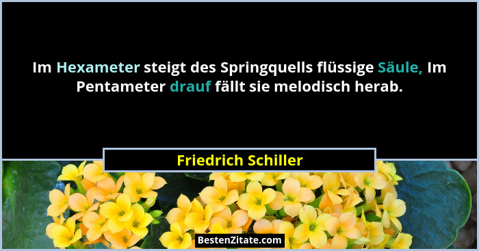 Im Hexameter steigt des Springquells flüssige Säule, Im Pentameter drauf fällt sie melodisch herab.... - Friedrich Schiller