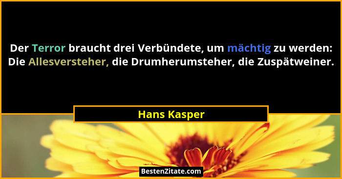 Der Terror braucht drei Verbündete, um mächtig zu werden: Die Allesversteher, die Drumherumsteher, die Zuspätweiner.... - Hans Kasper