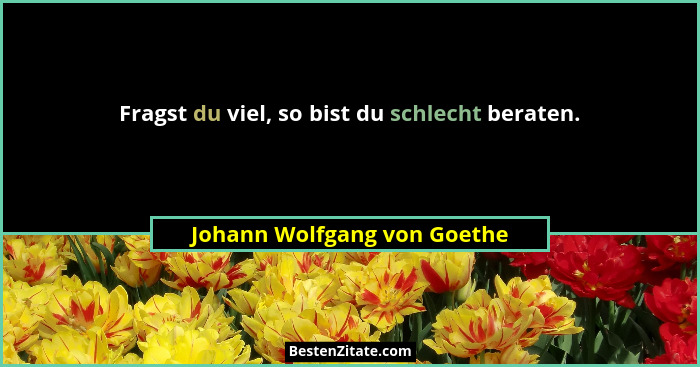 Fragst du viel, so bist du schlecht beraten.... - Johann Wolfgang von Goethe