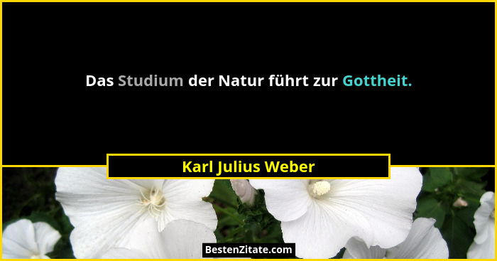 Das Studium der Natur führt zur Gottheit.... - Karl Julius Weber