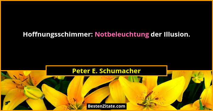 Hoffnungsschimmer: Notbeleuchtung der Illusion.... - Peter E. Schumacher