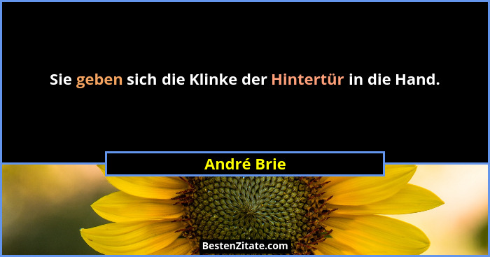 Sie geben sich die Klinke der Hintertür in die Hand.... - André Brie