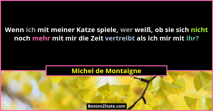 Wenn ich mit meiner Katze spiele, wer weiß, ob sie sich nicht noch mehr mit mir die Zeit vertreibt als ich mir mit ihr?... - Michel de Montaigne