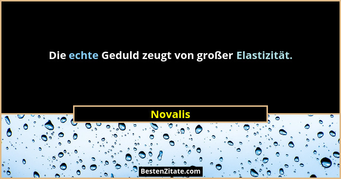 Die echte Geduld zeugt von großer Elastizität.... - Novalis