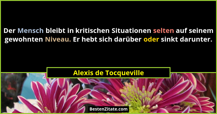 Der Mensch bleibt in kritischen Situationen selten auf seinem gewohnten Niveau. Er hebt sich darüber oder sinkt darunter.... - Alexis de Tocqueville
