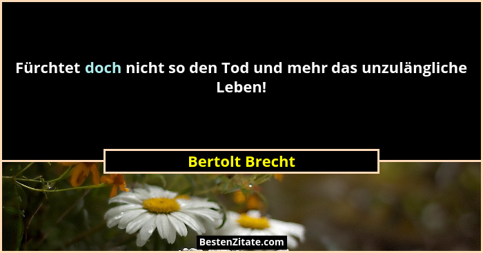 Fürchtet doch nicht so den Tod und mehr das unzulängliche Leben!... - Bertolt Brecht