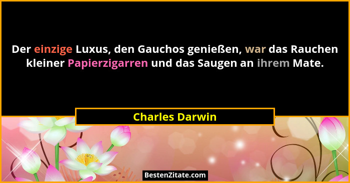 Der einzige Luxus, den Gauchos genießen, war das Rauchen kleiner Papierzigarren und das Saugen an ihrem Mate.... - Charles Darwin