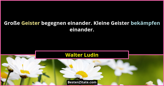 Große Geister begegnen einander. Kleine Geister bekämpfen einander.... - Walter Ludin