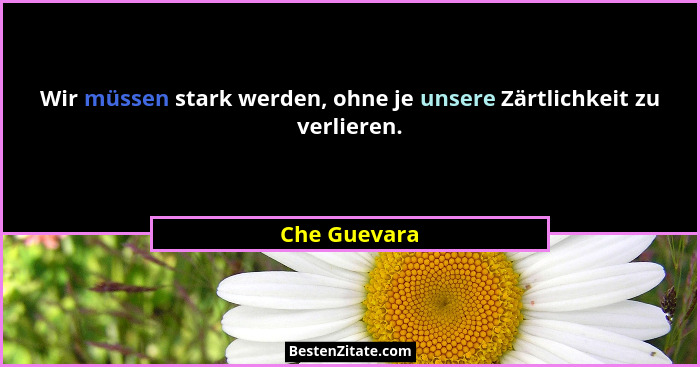 Wir müssen stark werden, ohne je unsere Zärtlichkeit zu verlieren.... - Che Guevara