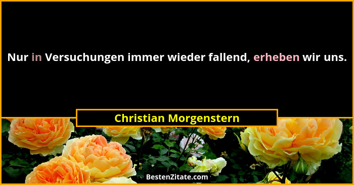 Nur in Versuchungen immer wieder fallend, erheben wir uns.... - Christian Morgenstern