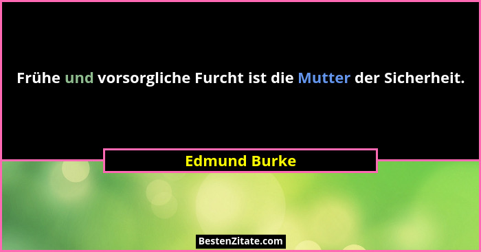 Frühe und vorsorgliche Furcht ist die Mutter der Sicherheit.... - Edmund Burke