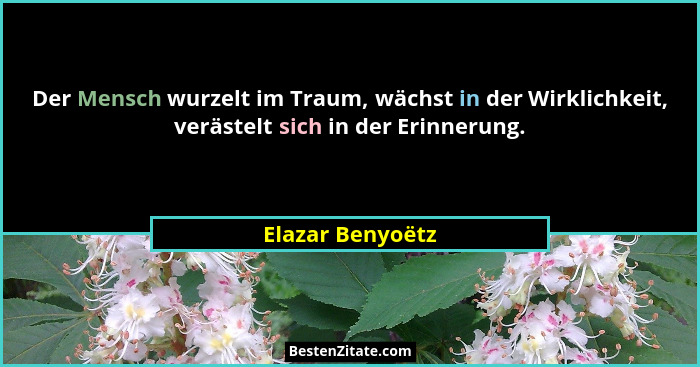Der Mensch wurzelt im Traum, wächst in der Wirklichkeit, verästelt sich in der Erinnerung.... - Elazar Benyoëtz