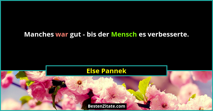 Manches war gut - bis der Mensch es verbesserte.... - Else Pannek