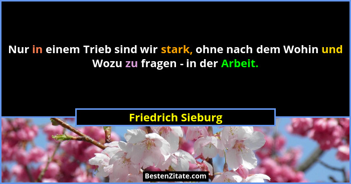 Nur in einem Trieb sind wir stark, ohne nach dem Wohin und Wozu zu fragen - in der Arbeit.... - Friedrich Sieburg