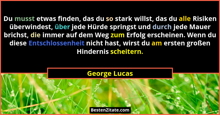 Du musst etwas finden, das du so stark willst, das du alle Risiken überwindest, über jede Hürde springst und durch jede Mauer brichst,... - George Lucas