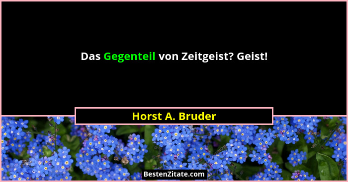 Das Gegenteil von Zeitgeist? Geist!... - Horst A. Bruder