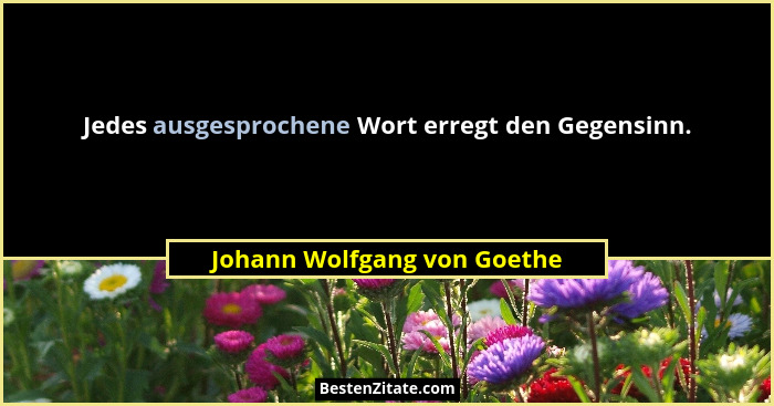 Jedes ausgesprochene Wort erregt den Gegensinn.... - Johann Wolfgang von Goethe