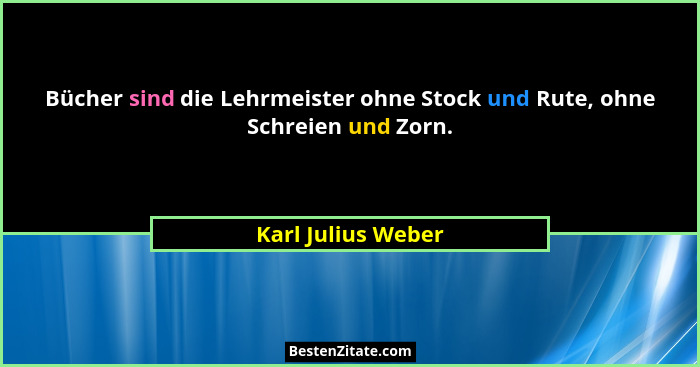 Bücher sind die Lehrmeister ohne Stock und Rute, ohne Schreien und Zorn.... - Karl Julius Weber