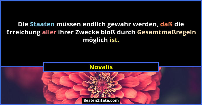 Die Staaten müssen endlich gewahr werden, daß die Erreichung aller ihrer Zwecke bloß durch Gesamtmaßregeln möglich ist.... - Novalis