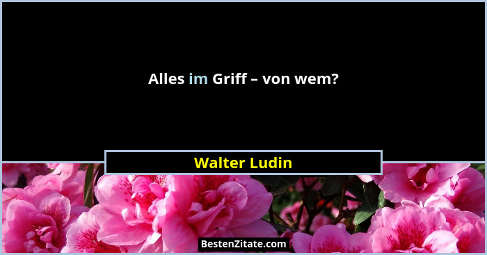 Alles im Griff – von wem?... - Walter Ludin