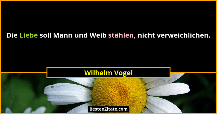 Die Liebe soll Mann und Weib stählen, nicht verweichlichen.... - Wilhelm Vogel