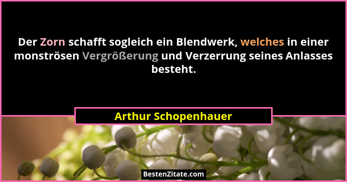 Der Zorn schafft sogleich ein Blendwerk, welches in einer monströsen Vergrößerung und Verzerrung seines Anlasses besteht.... - Arthur Schopenhauer