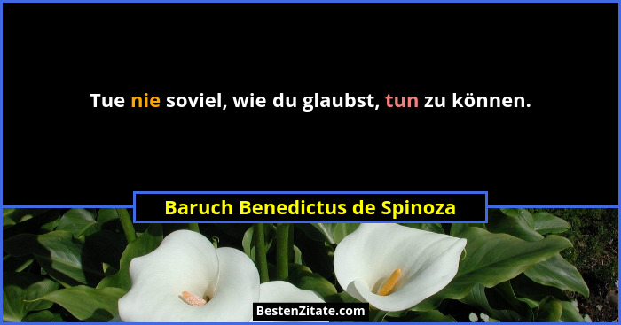 Tue nie soviel, wie du glaubst, tun zu können.... - Baruch Benedictus de Spinoza