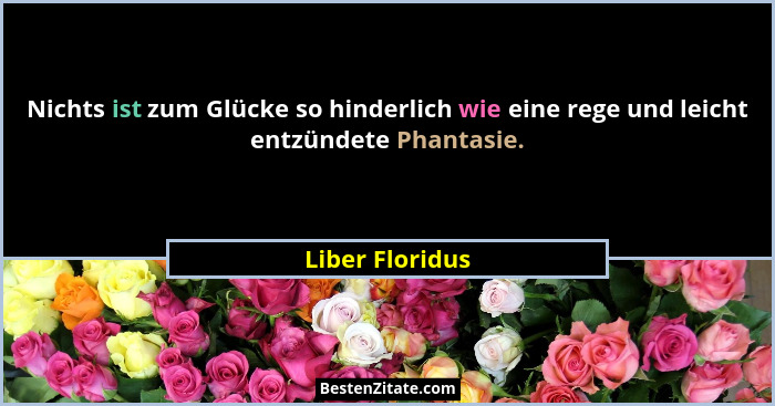 Nichts ist zum Glücke so hinderlich wie eine rege und leicht entzündete Phantasie.... - Liber Floridus