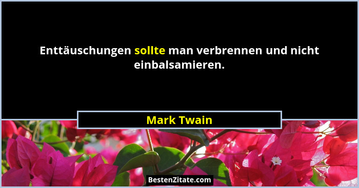 Enttäuschungen sollte man verbrennen und nicht einbalsamieren.... - Mark Twain
