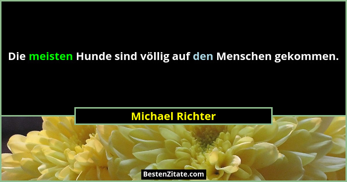 Die meisten Hunde sind völlig auf den Menschen gekommen.... - Michael Richter